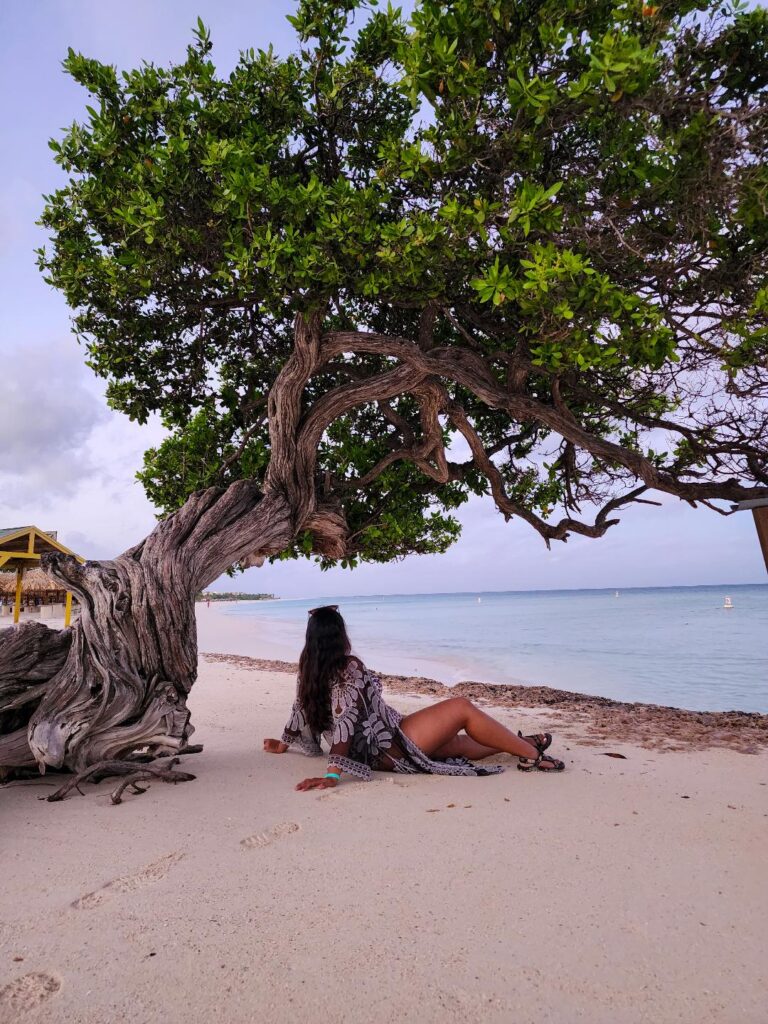 Divi Divi tree, fofoti tree, Watapana tree, aruba, beach