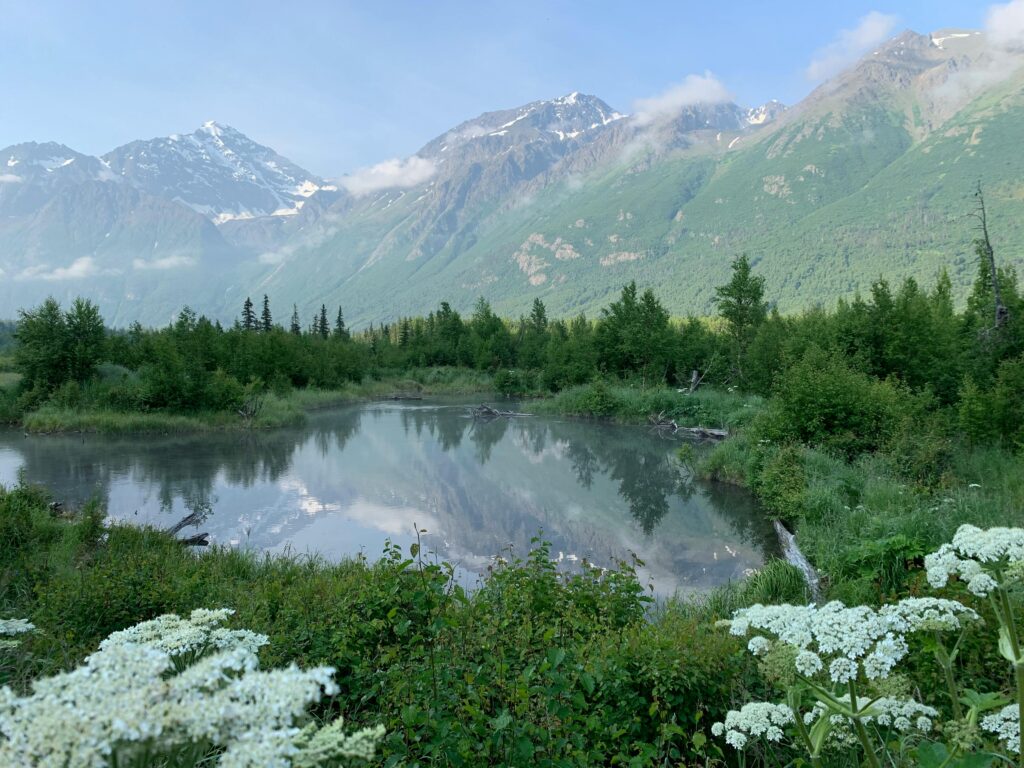 Serene mountain landscape in Anchorage, Alaska with lush greenery and a calm lake reflecting the peaks.