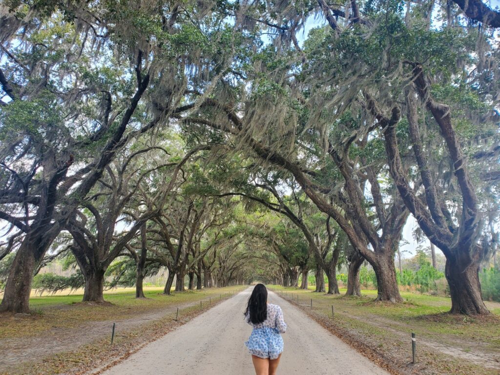 wormsloe historic site savannah georgia